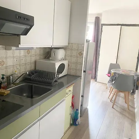 Apartament Ensoleille En Centre-ville, Animaux Admis - Fr-1-703-206 Amélie-les-Bains-Palalda