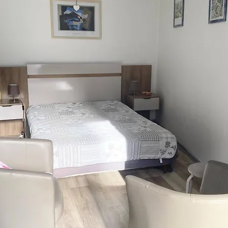 Ensoleille En Centre-ville, Animaux Admis - Fr-1-703-206 Amelie-les-Bains-Palalda
