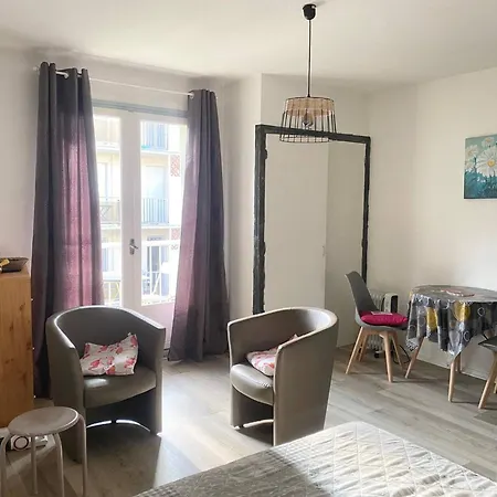 Ensoleille En Centre-ville, Animaux Admis - Fr-1-703-206 Apartament *