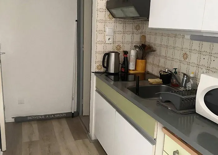 Ensoleille En Centre-ville, Animaux Admis - Fr-1-703-206 Apartamento *