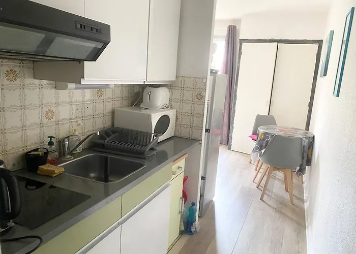 Apartamento Ensoleille En Centre-ville, Animaux Admis - Fr-1-703-206 Amélie-les-Bains-Palalda