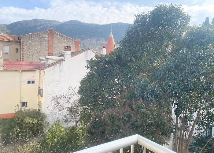 Apartamento Ensoleille En Centre-ville, Animaux Admis - Fr-1-703-206 Amélie-les-Bains-Palalda