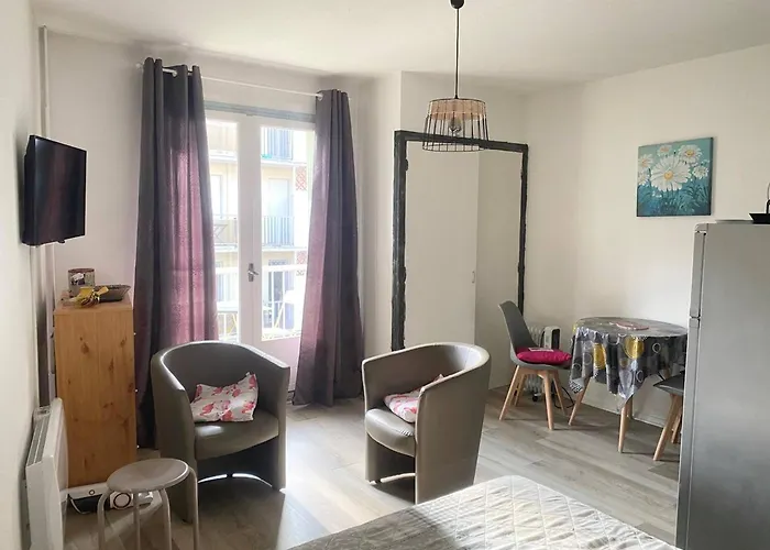 Ensoleille En Centre-ville, Animaux Admis - Fr-1-703-206 *